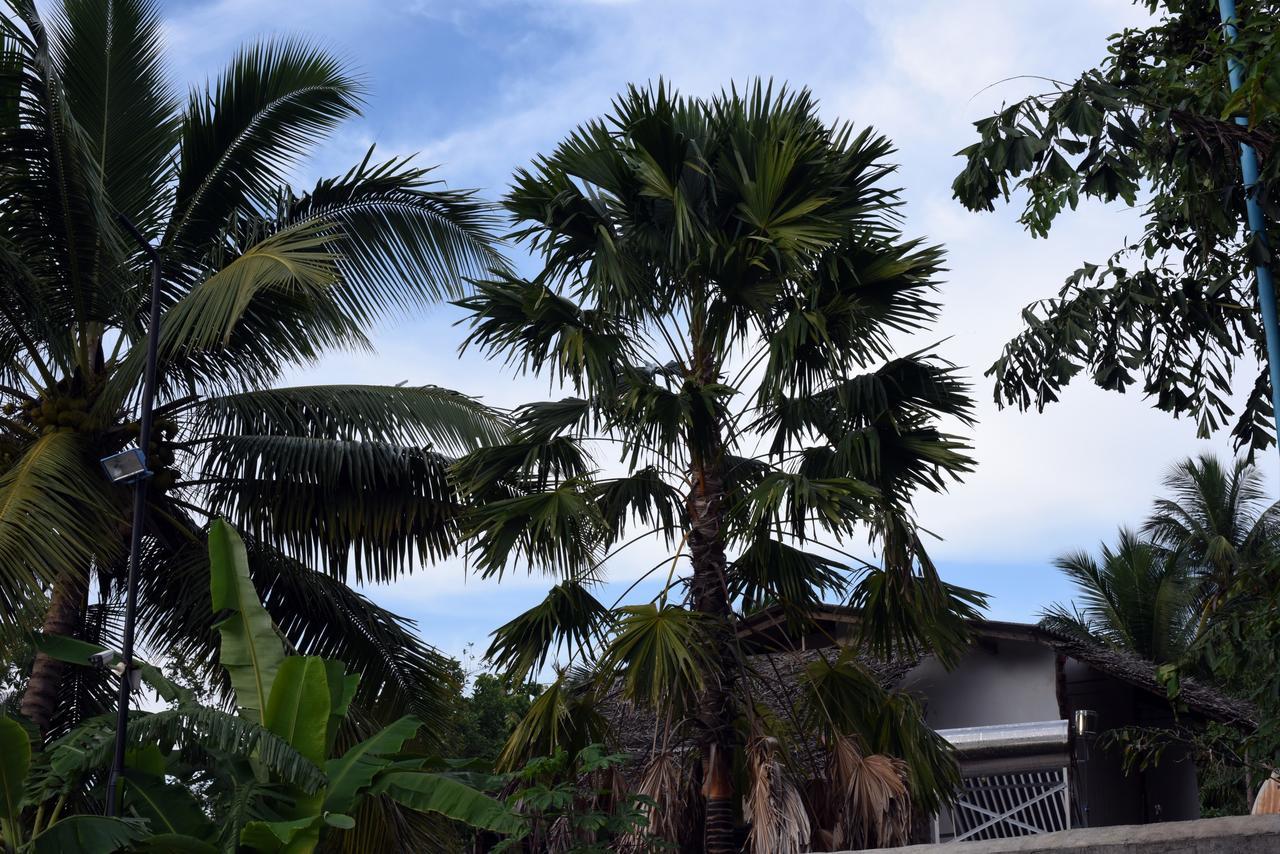 Sun And Green Eco Lodge - ダンブッラ エクステリア 写真