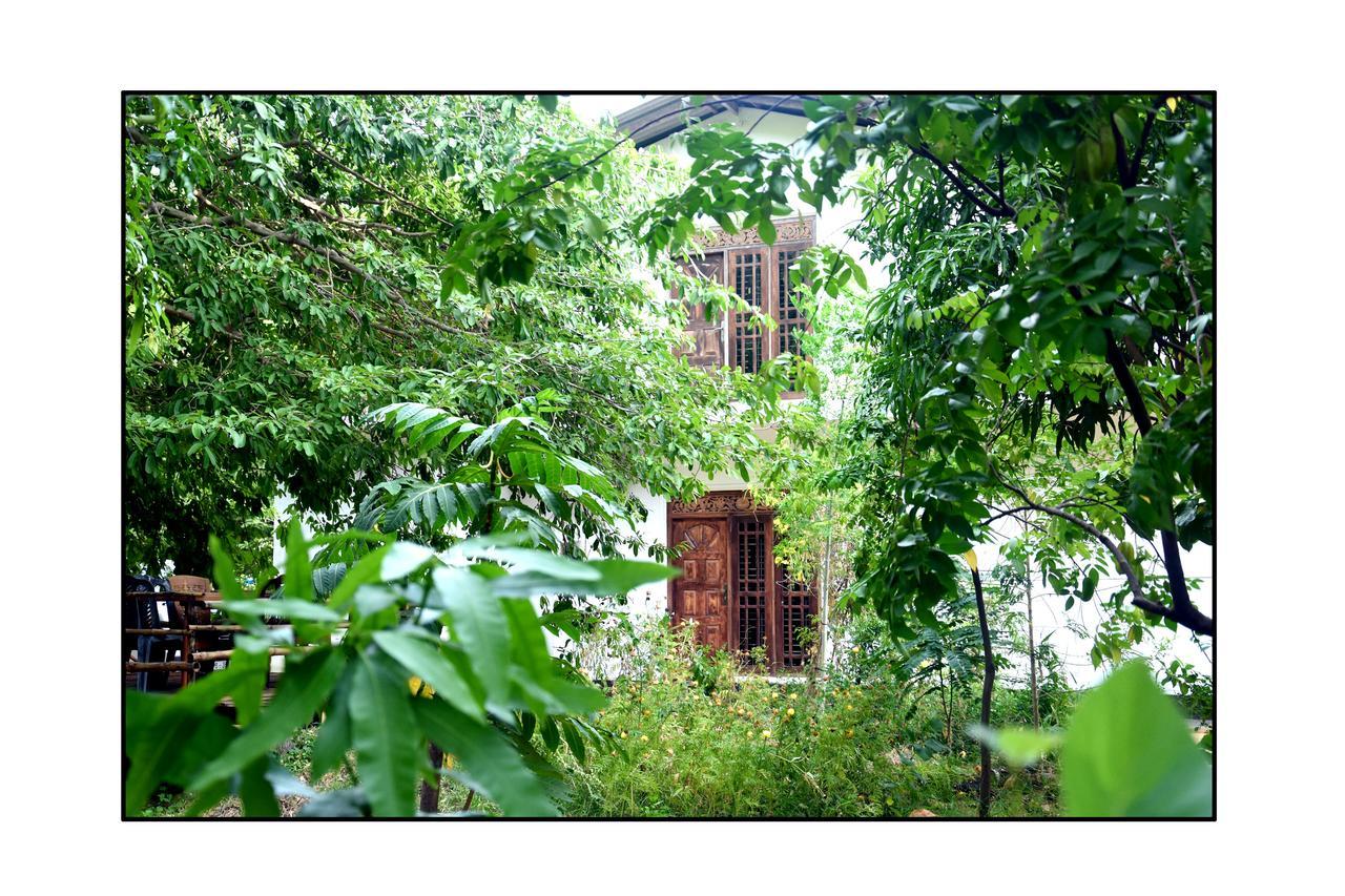 Sun And Green Eco Lodge - ダンブッラ エクステリア 写真
