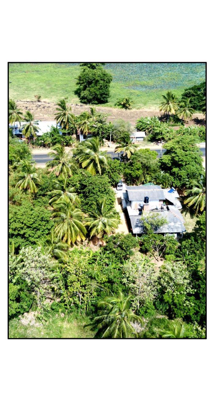 Sun And Green Eco Lodge - ダンブッラ エクステリア 写真