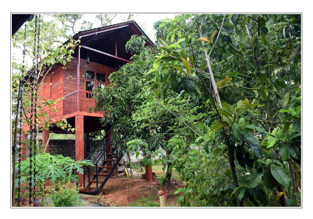 Sun And Green Eco Lodge - ダンブッラ エクステリア 写真