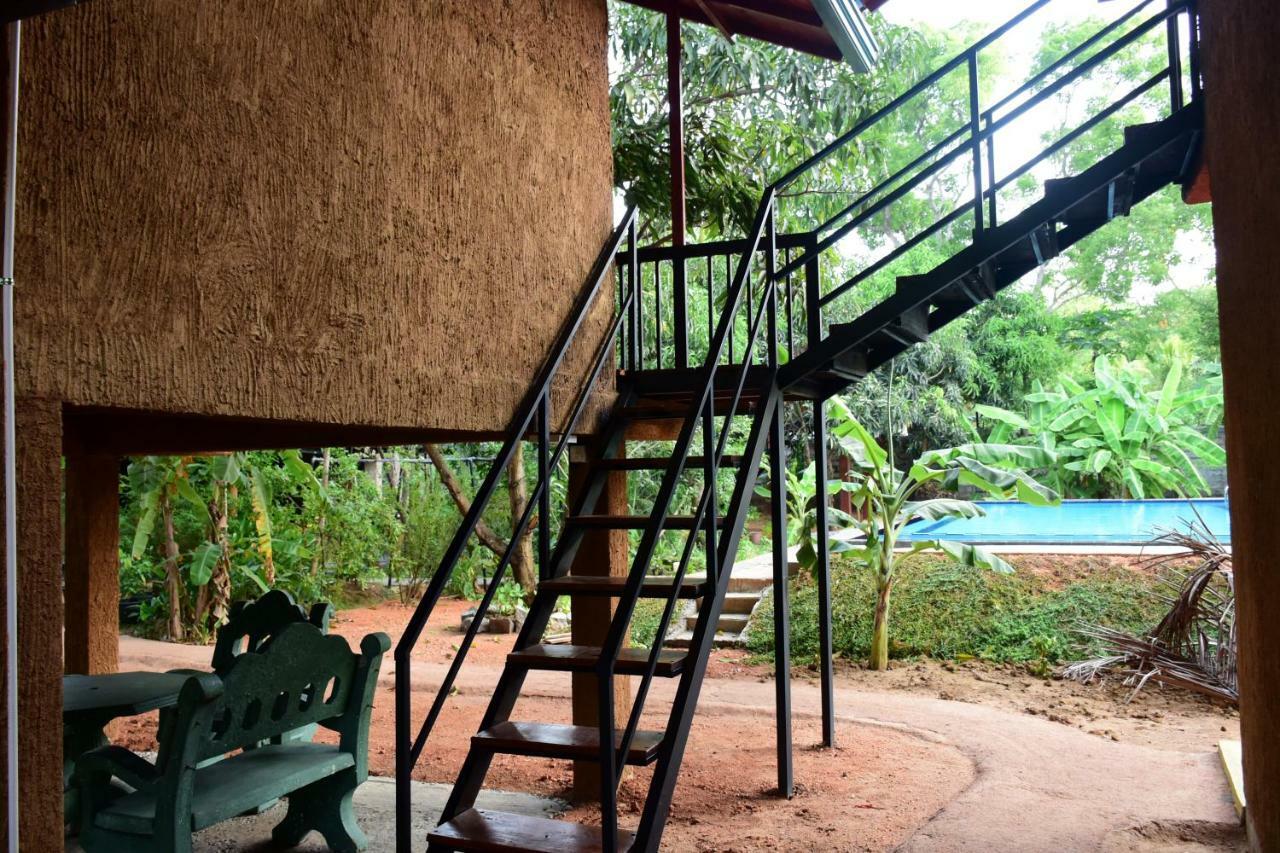 Sun And Green Eco Lodge - ダンブッラ エクステリア 写真